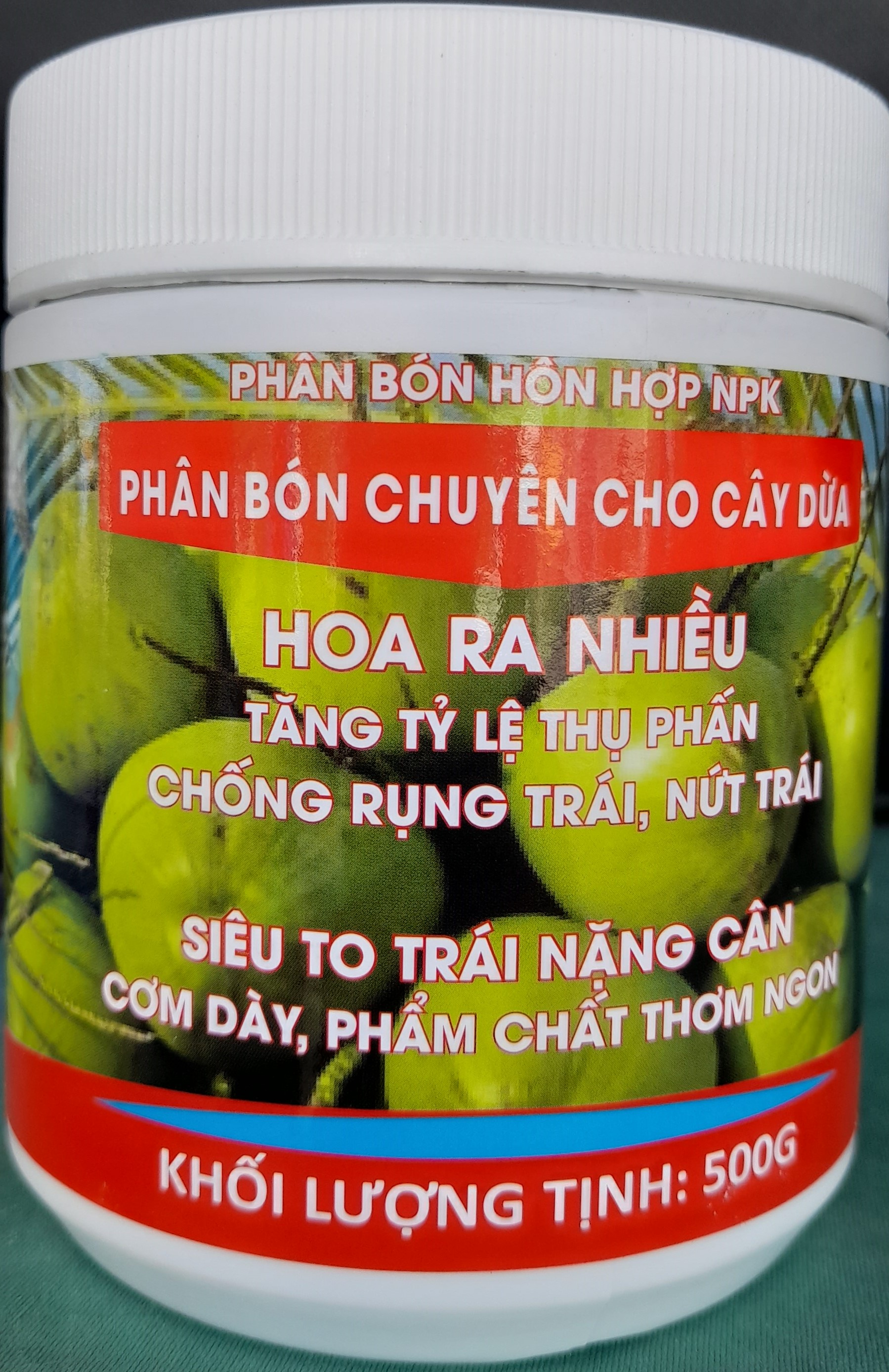 Siêu lớn trái dừa - Senca 12 500gram